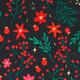 Cabaia - Sac Nano Édition Noël Limitée  Achat En Ligne Couleurs  génériques Rouge Taille TU Couleurs Système Polaris Rovaniemi